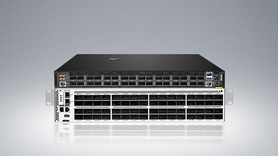 400/800G PicOS® Switches